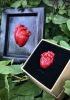 foto: Strangelove - Anatomical heart pin (small)