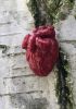 foto: Strangelove - Anatomical heart pin (small)