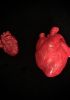 foto: Strangelove – Großer Anstecker in anatomischer Herzform