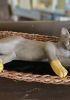 foto: Handmade ceramic - Cat statue