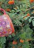 foto: Bunte Wiese – Espressotasse 0,2 l rot