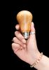 foto: Wooden lightbulbs