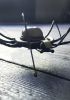 foto: Spider with semi-precious stone
