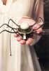 foto: Spider with semi-precious stone