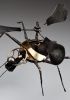 foto: Helicopter Spider