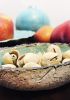 foto: Precious things - Eggshells